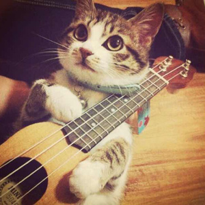 男女作爱网站免费
